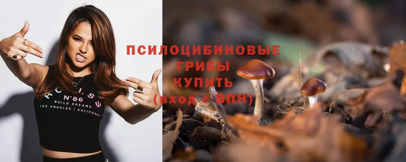 Псилоцибиновые грибы Psilocybe  Инза 